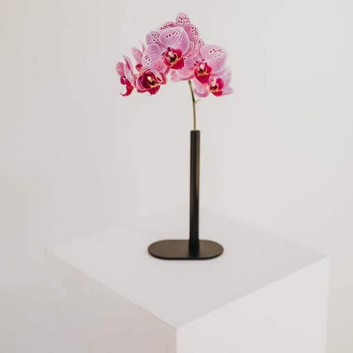 Oak Lab Design Minimal Black Vase with pink orchids